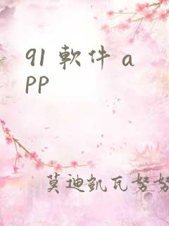91 软件 app