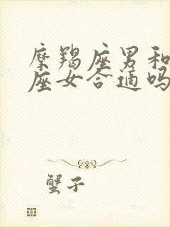 摩羯座男和射手座女合适吗