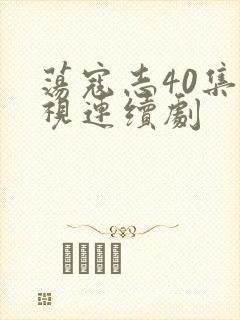 荡寇志40集电视连续剧