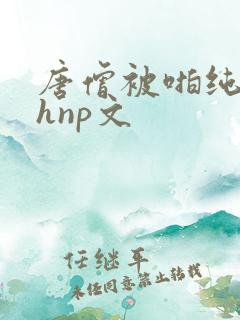 唐僧被啪纯肉高hnp文