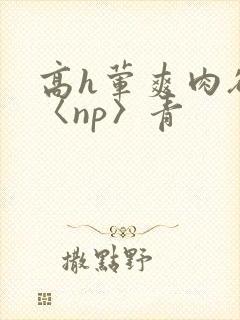 高h荤爽肉欲文〈np〉青