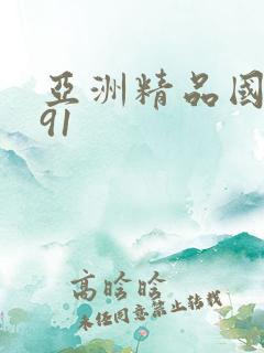 亚洲精品国产久91