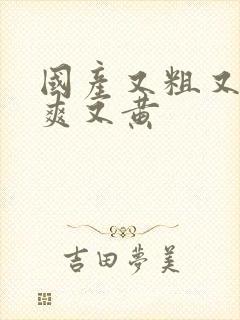 国产又粗又色又爽又黄