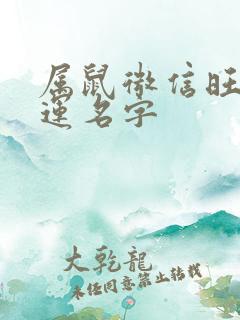 属鼠微信旺财旺运名字