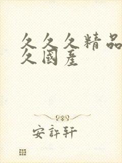 久久久精品久久久国产