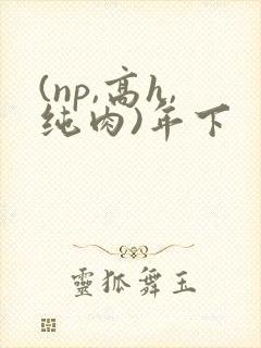 (np,高h,纯肉)年下