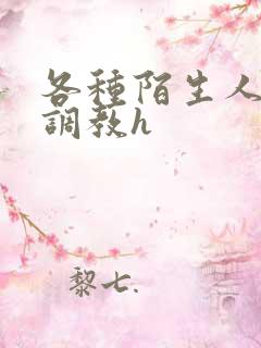 各种陌生人np调教h