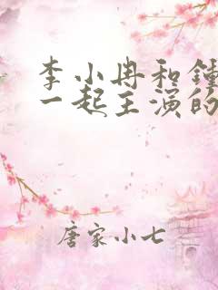 李小冉和钟汉良一起主演的电视剧