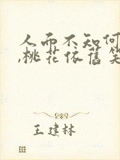 人面不知何处去,桃花依旧笑春风的故事