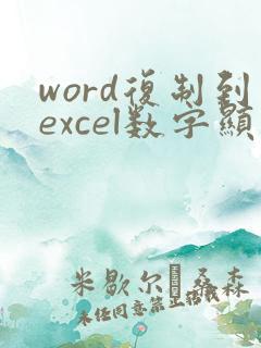 word复制到excel数字显示不全