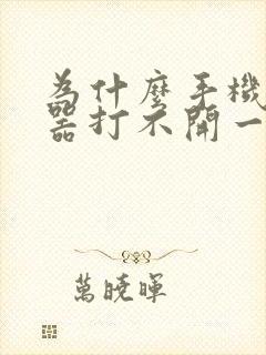 为什么手机浏览器打不开一些网站