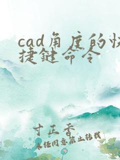 cad角度的快捷键命令