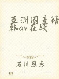 亚洲国产精品日韩av在线