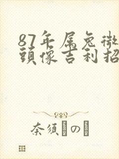 87年属兔微信头像吉利招财