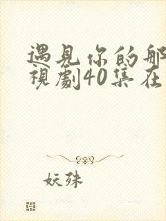 遇见你的那天电视剧40集在线观看免费