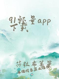 91轻量app下载