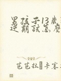 男孩子13岁叛逆期该怎么沟通