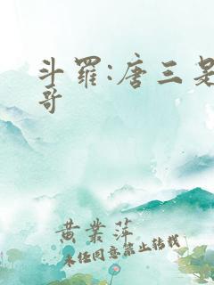 斗罗:唐三是我哥