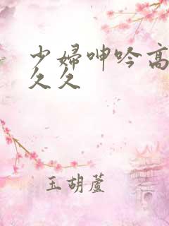 少妇呻吟高潮久久久