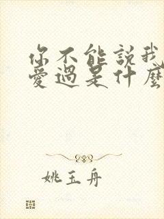 你不能说我没有爱过是什么歌