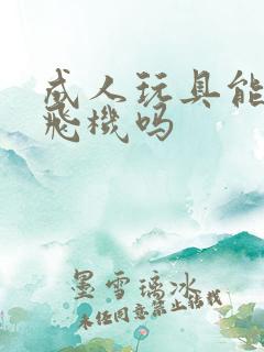 成人玩具能带上飞机吗