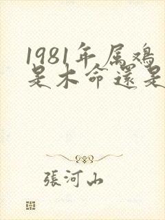 1981年属鸡是木命还是金命