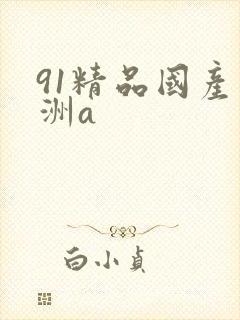 91精品国产亚洲a
