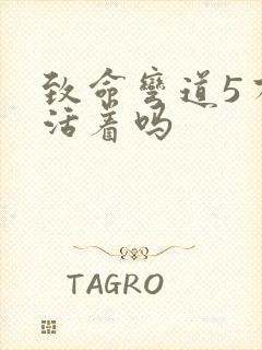 致命弯道5有人活着吗