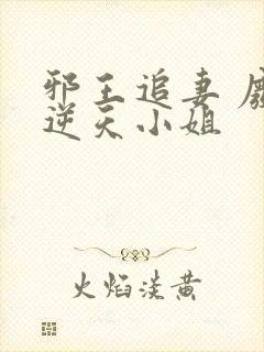 邪王追妻 废材逆天小姐