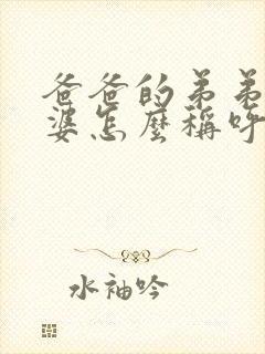 爸爸的弟弟的老婆怎么称呼