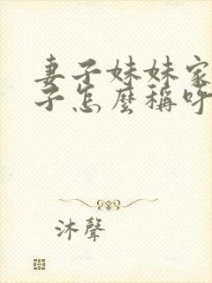 妻子妹妹家的孩子怎么称呼