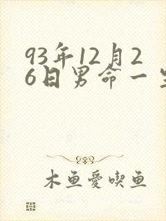 93年12月26日男命一生运势