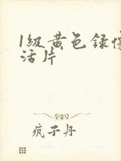 1级黄色录像生活片
