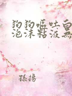 狗狗呕吐白色的泡沫粘液无精打采