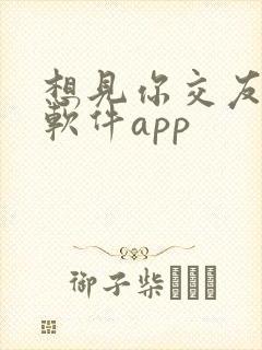 想见你交友聊天软件app