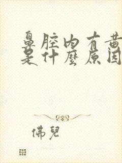 鼻腔内有黄鼻涕是什么原因