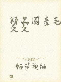 精品国产毛片久久久