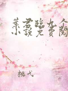 叶君临九个师父小说免费阅读全文