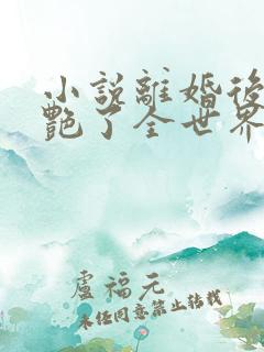 小说离婚后她惊艳了全世界