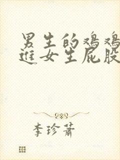 男生的鸡鸡 插进女生屁股里