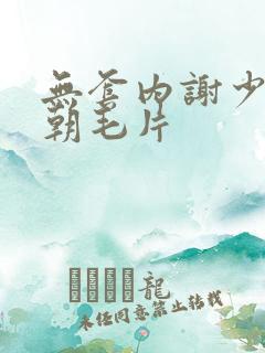 无套内谢少妇高朝毛片