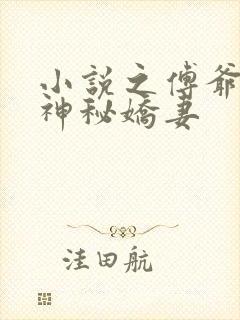 小说之傅爷独宠神秘娇妻