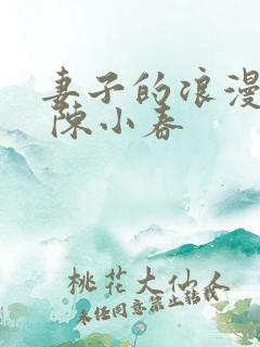 妻子的浪漫旅行 陈小春