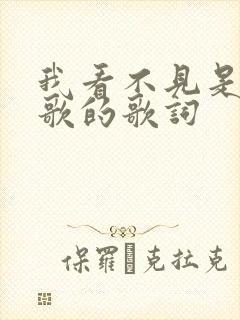 我看不见是哪首歌的歌词