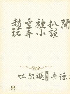 赵云被扒开双腿玩弄小说