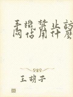 手机禁止访问的网站用什么浏览器