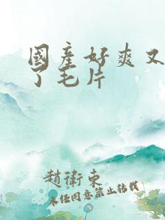 国产好爽又高潮了毛片