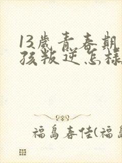 13岁青春期男孩叛逆怎样引导