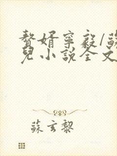 赘婿宁毅/苏檀儿小说全文免费阅读完整版