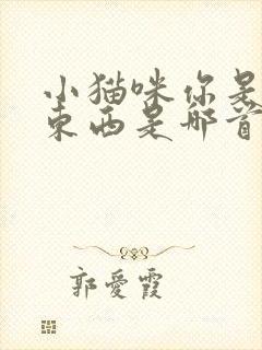 小猫咪你是个坏东西是哪首歌